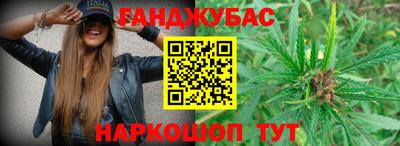 стафф Братск