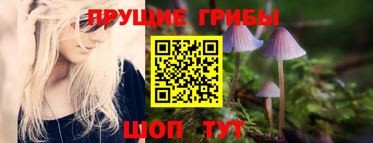 Владимир  Псилоцибиновые грибы прущие грибы  Галлюциногенные грибы Psilocybine cubensis  Вход с VPN 