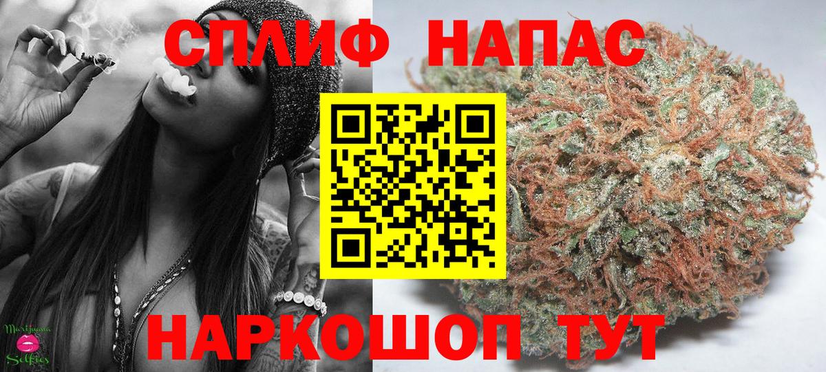 Конопля марихуана Владимир